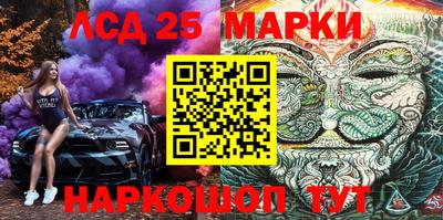 Альфа ПВП Краснознаменск