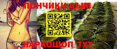 стаф Краснодар