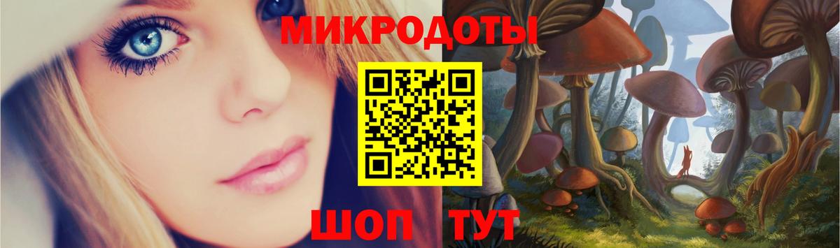 Псилоцибиновые грибы Psilocybe  Псилоцибиновые грибы прущие грибы  Керчь  где найти   Вход с VPN 