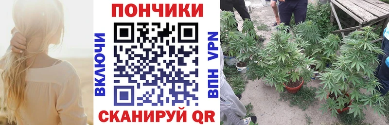 где найти   Керчь  Шишки марихуана марихуана 